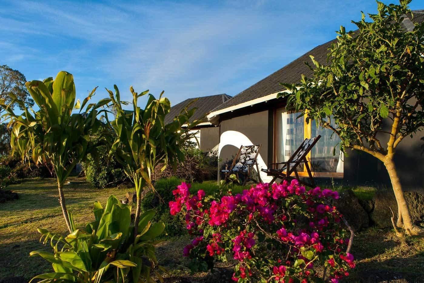 Altiplanico Rapa Nui Hotel Hanga Roa Ngoại thất bức ảnh